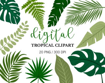 Tropical Leaves Clipart, Monstera Clipart, Jungle clipart, Digital Stickers Tropical Plants, Digital Planner Stickers, Palm leaf, PNG