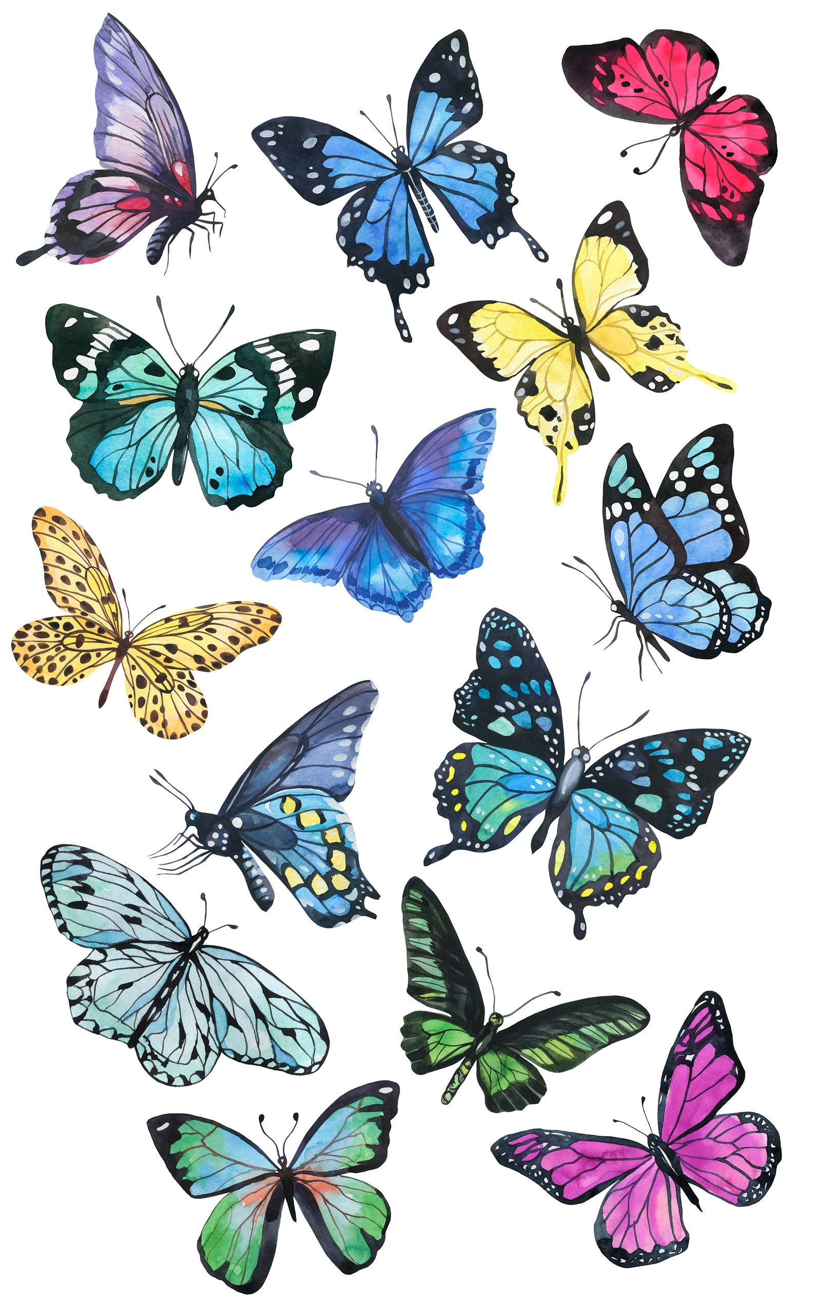 Watercolor Butterflies Clipart Butterfly Clipart Butterfly Etsy Canada