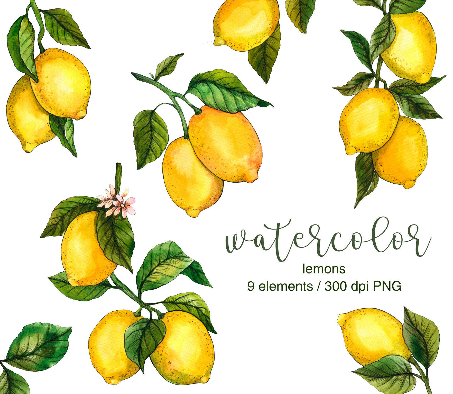Watercolor Lemon Clipart, PNG, Yellow Lemon, Lemons Slices, Citrus, Hand  Painted Clipart, Greetings Card, Wedding Design, Digital Files, DIY - Etsy