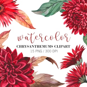 Aquarelle chrysanthème clipart, clipart automne, clipart fleurs Bourgogne, clipart floral, fleurs automne, clipart Boho, PNG, clipart planificateur