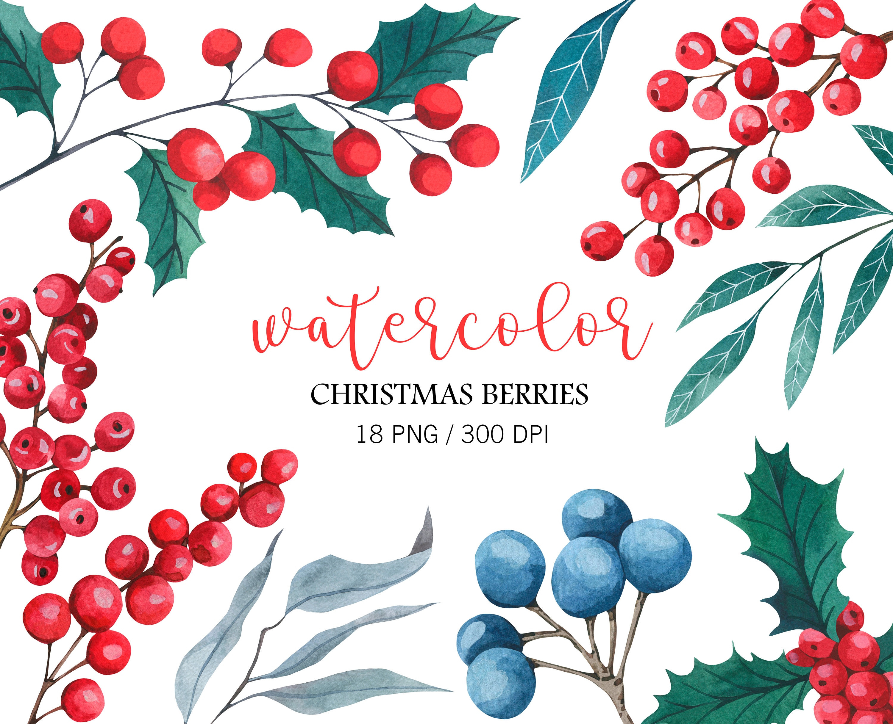 Watercolor Holly Leaves and Red Berries Clipart, Watercolor Christmas ...