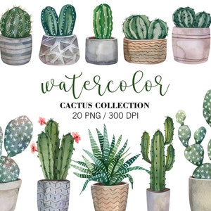 Clipart de cacto aquarela, cacto PNG, impressão de cacto, clipart suculenta, plantas tropicais do deserto, clipart do deserto, png de vegetação, plantas domésticas