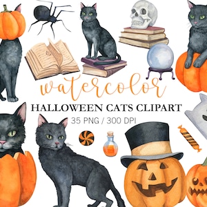 Halloween Black Cat Clipart, Witch Cat Clipart, Halloween Decor, Halloween Clipart, Spooky Halloween, Animal clipart, Halloween pumpkin png