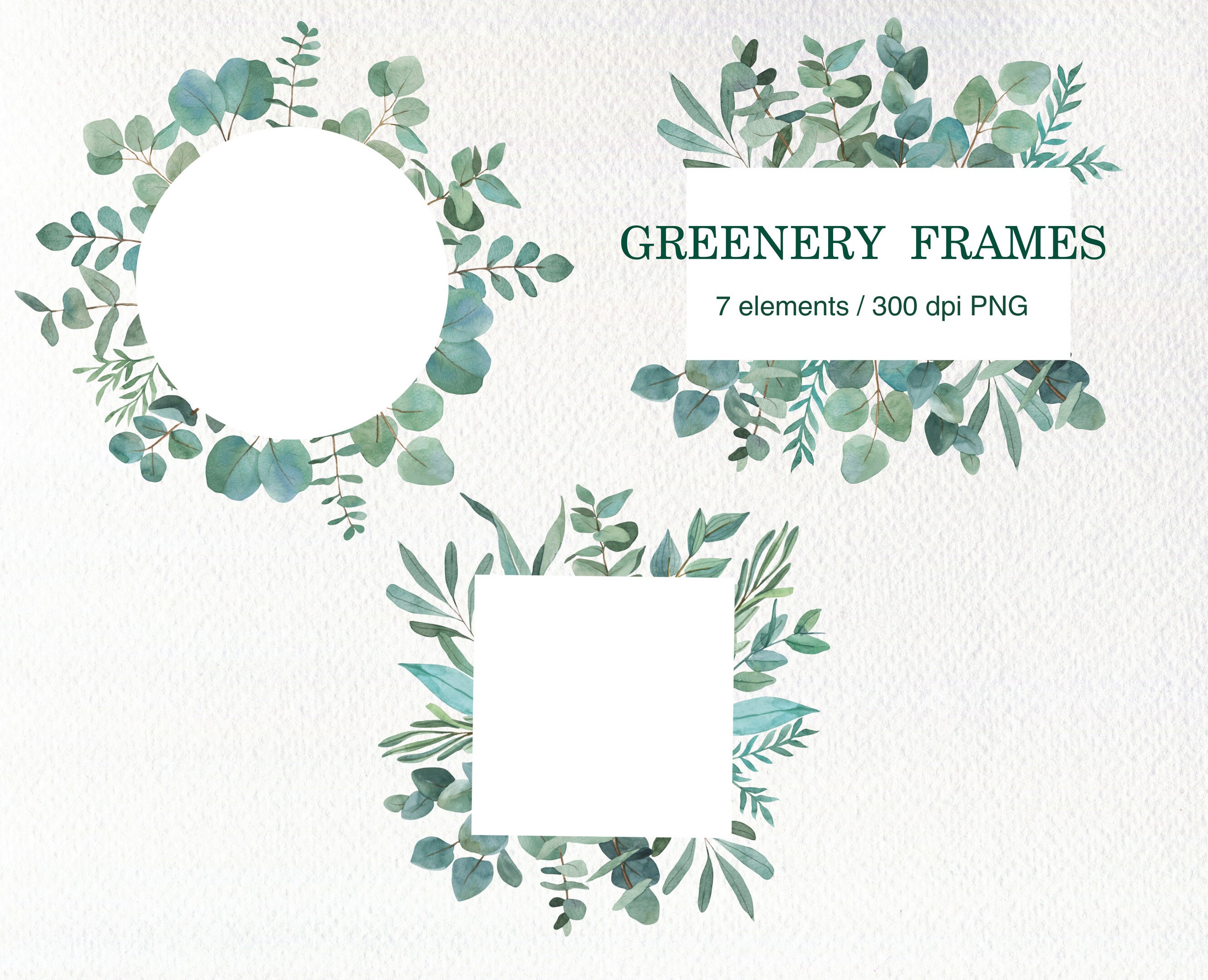 Watercolor Greenery Frames PNG, Eucalyptus Clipart, Floral Border for ...