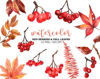 Watercolor Fall Clipart, Red Berries Clipart, PNG, Berry Brunches, Thanksgiving Clipart, Christmas berries Decor, Fall Leaves, Fall Wedding