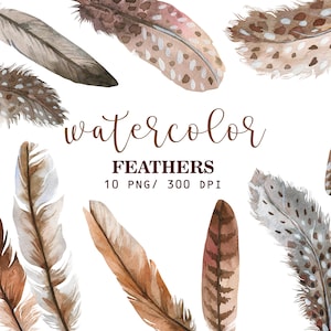 Aquarell Federn Clipart, Handgemalte Federn, Feder Clipart, Boho Federn Clipart, Herbst Clipart, PNG, Boho Clipart, Hochzeit Clipart