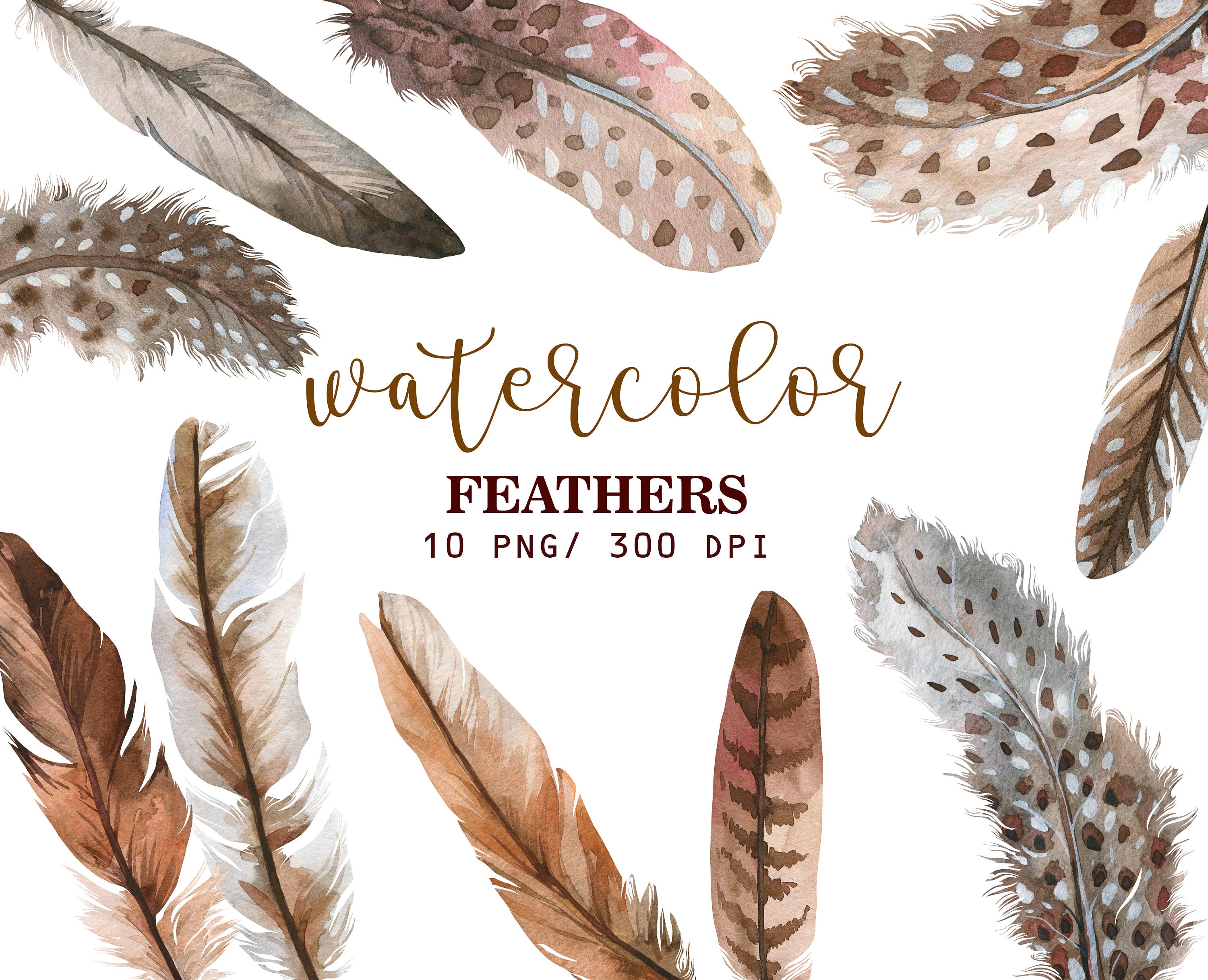 Commercial Use 10 Painted Feathers Clipart Feather Printables PNG Digital downloads Scrapbook Boho Tribal Feathers Feathers Art Print
