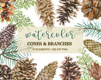 Watercolor Pine Cone Clipart, PNG, Pine Branches, Christmas Clipart, Watercolor Cones Clipart, Hand Painted, Woodland Nature, Commercial Use