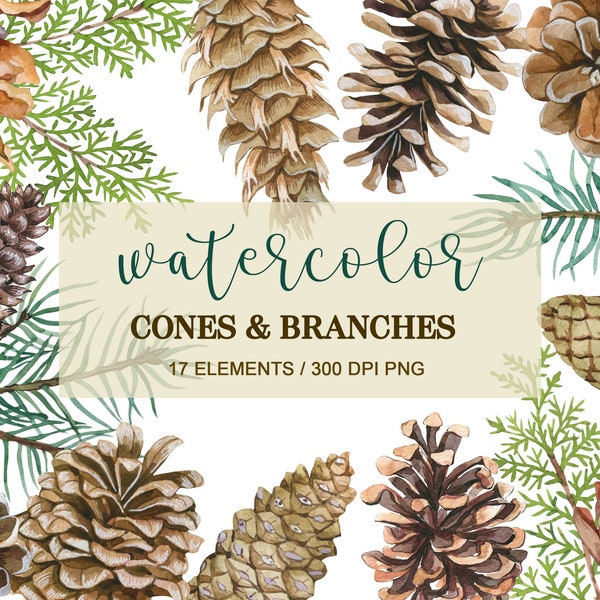 Aquarelle Pomme de Pin Clipart, PNG, Branches de pin, Clipart de Noël, Cônes d’aquarelle Clipart, Peint à la main, Nature boisée, Utilisation commerciale