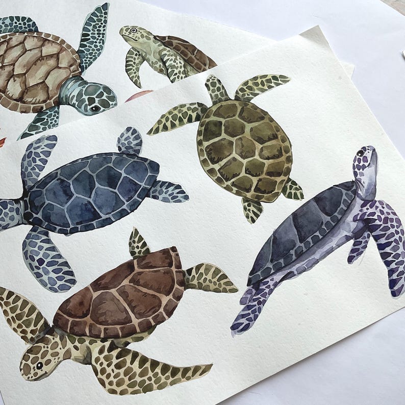 May include: Watercolor painting of six sea turtles in various shades of blue, green, brown, and purple. The turtles are painted in a realistic style with detailed shells and flippers.
