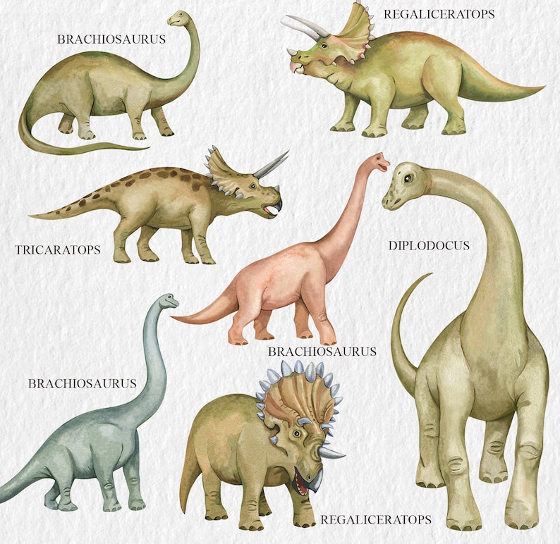 May include: A watercolor illustration of six different dinosaurs. The dinosaurs are Brachiosaurus, Triceratops, Regaliceratops, and Diplodocus. The dinosaurs are all in different poses and are all facing the viewer. The background is a light gray.