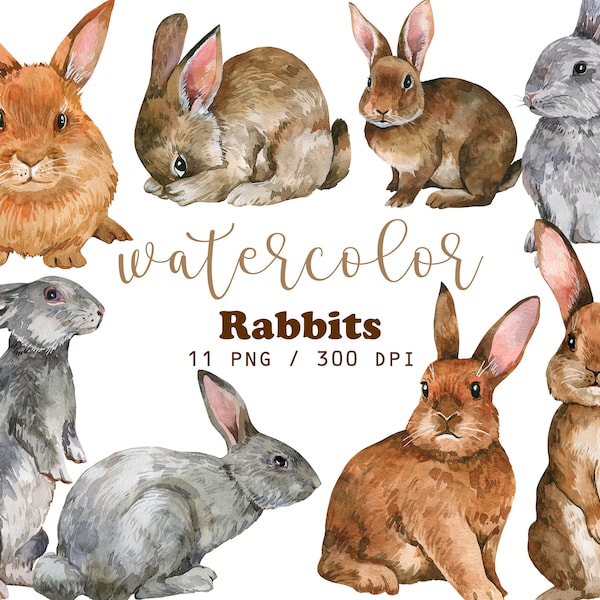 Watercolor Rabbits Clipart, cute pet clipart, Easter Clipart, Animals watercolor, Fluffy pets, Farm animals, Cute Nursery clipart, PNG