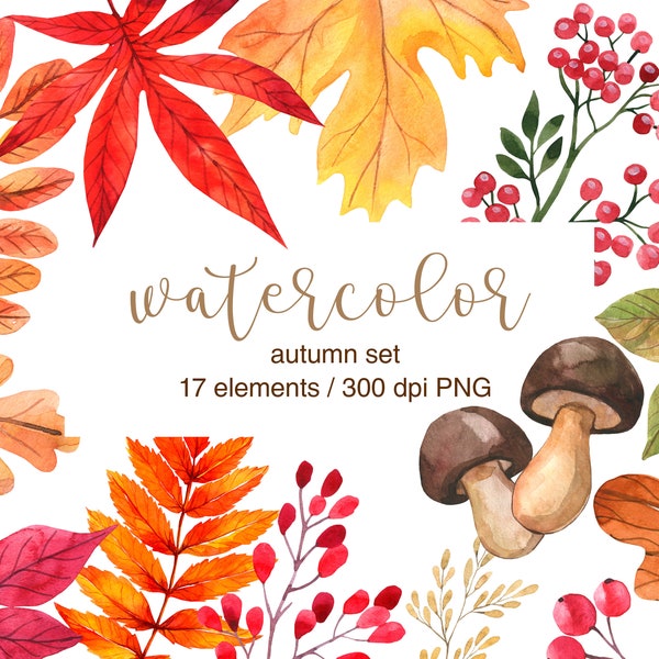 Watercolor Autumn Leaves Clipart, Hand painted, Fall Leaf, Autumn Decor, Watercolor Leaves, Autumn Clipart, Maple, Chestnut, Oak Leaves, PNG