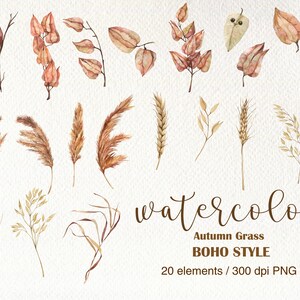 Op de afbeelding: Een set van 20 aquarel illustraties van herfstgras en bladeren in tinten bruin, beige en cr&egrave;me. De illustraties zijn perfect om een ​​herfsttint aan uw ontwerpen toe te voegen.