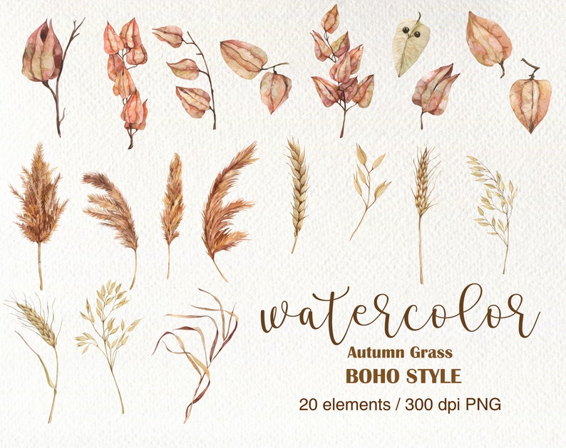Op de afbeelding: Een set van 20 aquarel illustraties van herfstgras en bladeren in tinten bruin, beige en cr&egrave;me. De illustraties zijn perfect om een ​​herfsttint aan uw ontwerpen toe te voegen.