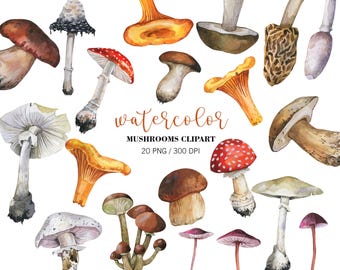 Watercolor Mushrooms clipart, Fall Clipart, Thanksgiving Clipart, Fall Forest fungus, Mushroom Woodland, Autumn Clipart, PNG