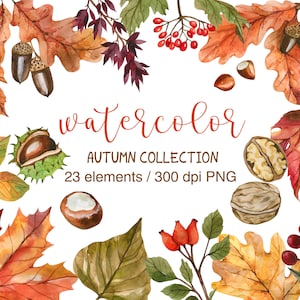 Clipart aquarela de outono, clipart de folhas de outono, PNG, clipart aquarela, clipart de folhas de outono, clipart de outono, coleção de folhas em aquarela