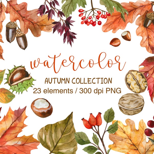 Autumn Watercolor Clipart, Autumn Leaves Clipart, PNG, Watercolor Clipart, Fall Leaves Clipart, Autumn Clipart, Watercolor Leaves Collection