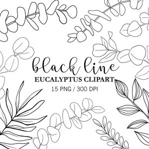Clipart de eucalipto de linha preta, folhas de eucalipto, clipart de Doodle, galhos de eucalipto, clipart de casamento, desenho de linha, clipart de verão, PNG