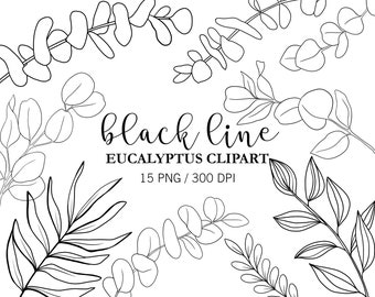 Black Line Eucalyptus clipart, Eucalyptus leaves, Doodle Clipart, Eucalyptus branches, Wedding clipart, Line drawing, Summer clipart, PNG