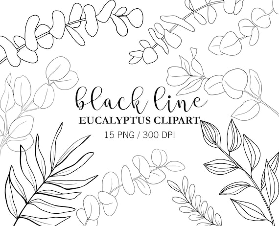 Black Line Eucalyptus clipart, Eucalyptus leaves, Doodle Clipart, Eucalyptus branches, Wedding clipart, Line drawing, Summer clipart, PNG
