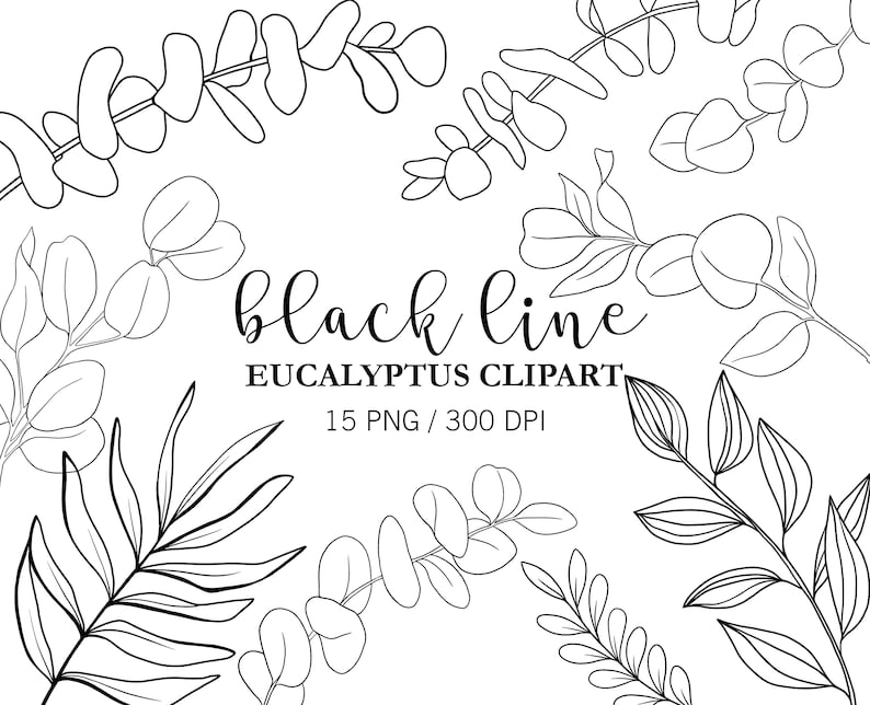 May include: Black and white line art illustrations of eucalyptus leaves. The text "black line eucalyptus clipart 15 png / 300 dpi" is included in the image.