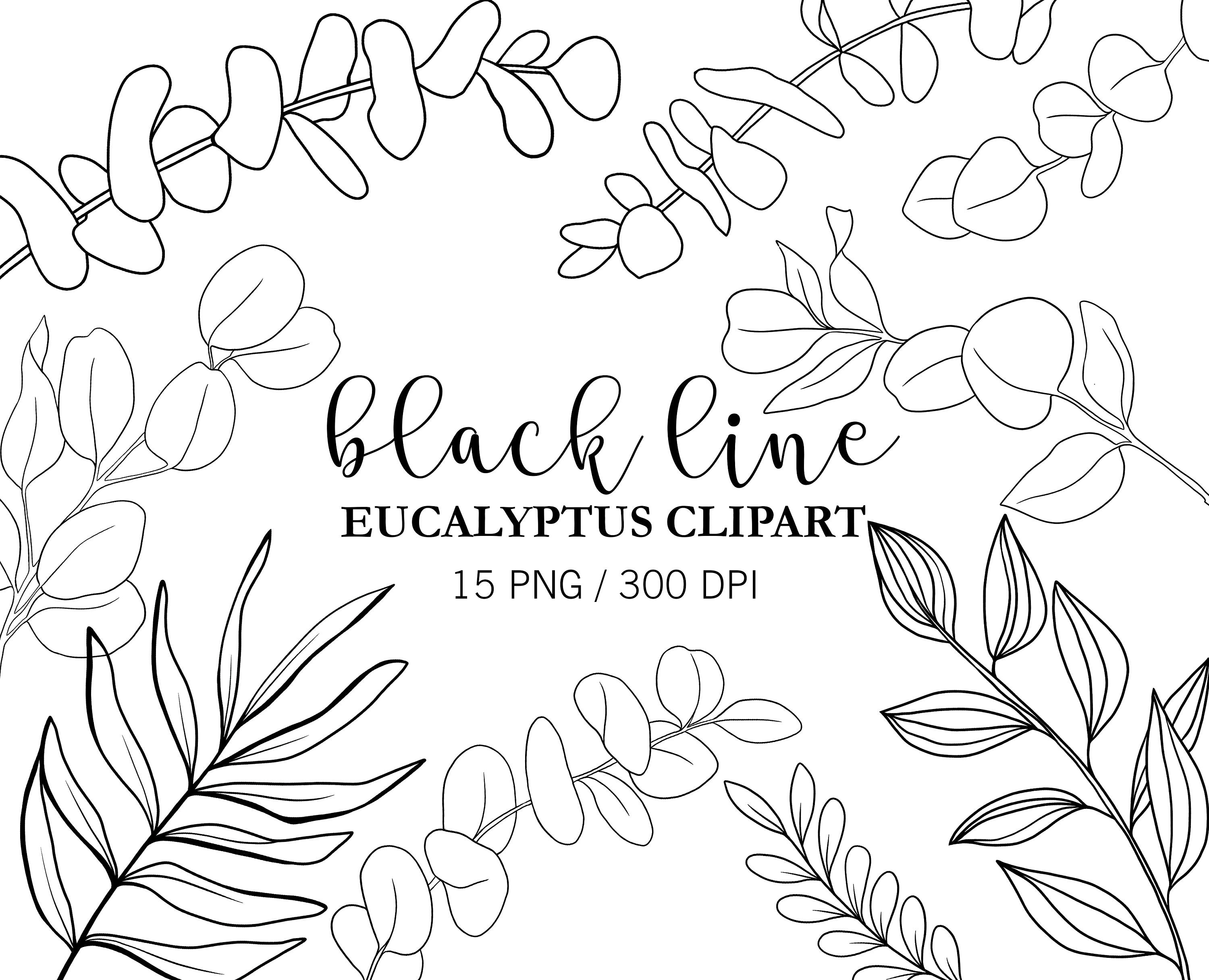 Black Line Eucalyptus Clipart Eucalyptus Leaves Doodle Etsy Australia