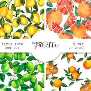 Aquarelle, Motifs D'agrumes, Citrons, Citron Vert, Orange, Pamplemousse, Feuilles D'agrumes, Cliparts, Peint à La Main, Motifs Numériques, Tropical