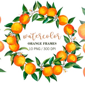 Watercolor Oranges Wreath, Oranges Branches Blossom, PNG, Oranges wedding invitation, Summer Clipart, Citrus Clipart, PNG, Oranges tree