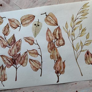 Op de afbeelding: Waterverf schilderij van delicate bruine en beige bloemen en bladeren. De bloemen hebben een papieren textuur en zijn in een los, organisch patroon gerangschikt. De bladeren zijn lang en slank, met een subtiele groene tint.