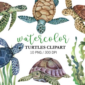 Watercolor Turtles Clipart, Sea Turtles, Nursery Decor, PNG, Wall art, Turtle print, Sea creatures, Sea life clipart, Summer Clipart,