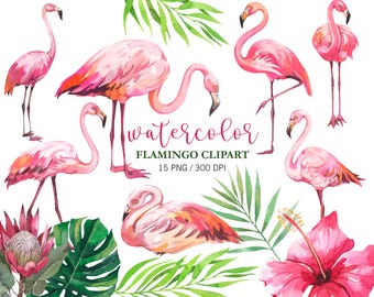Animal clipart