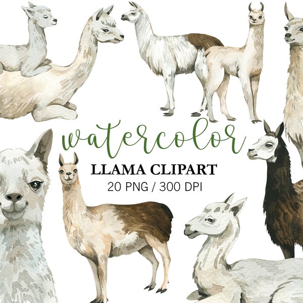 Watercolor Llamas Clipart, Nursery Decor, PNG, Mexico, alpaca, Watercolor animal clipart, Llama Party, Baby Shower Decor, Llama illustration