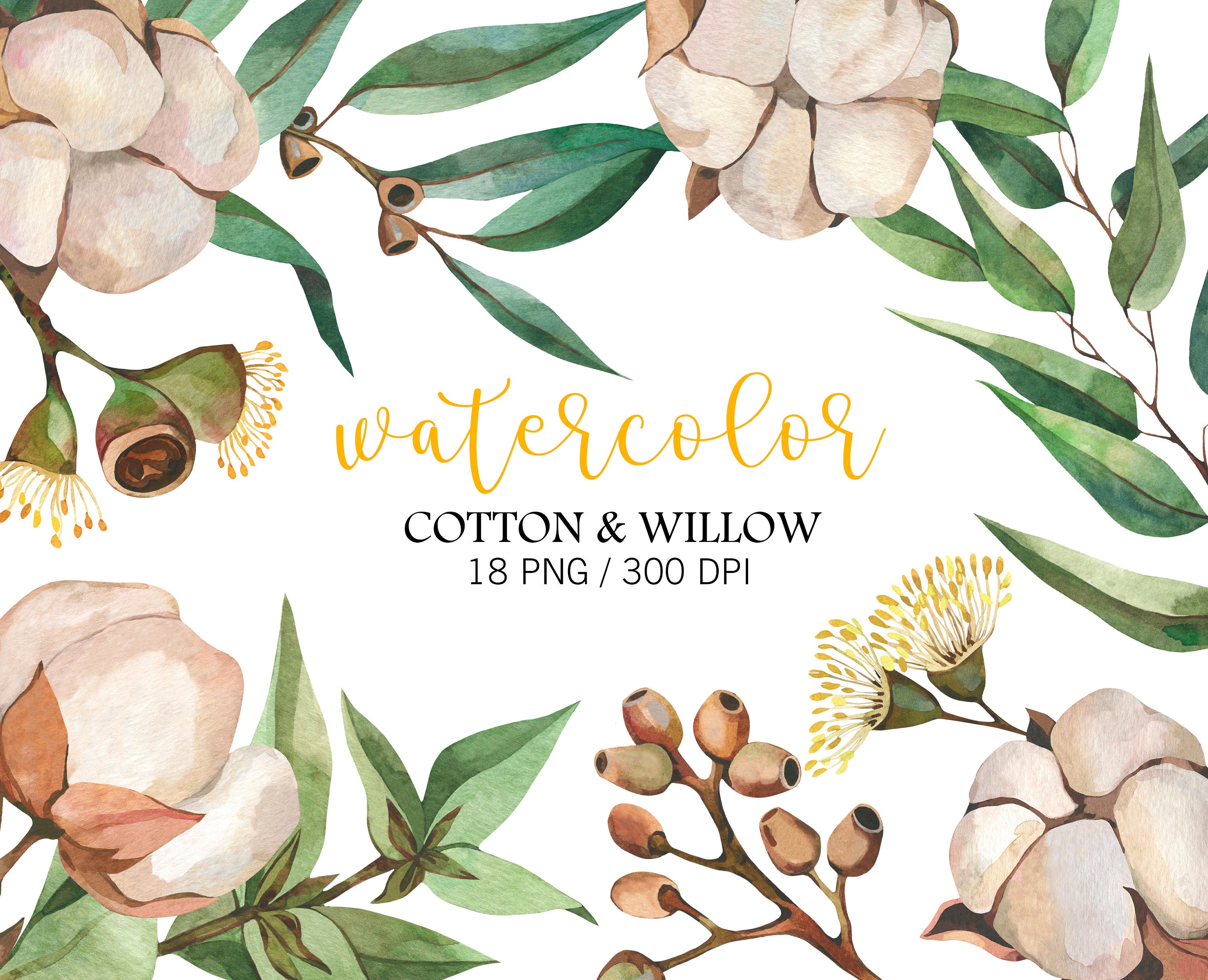 Watercolor Winter Floral Clipart Cotton Flower Clipart Watercolor