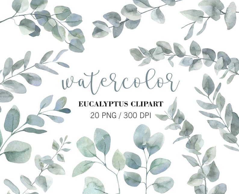 May include: Watercolor clipart of eucalyptus leaves in shades of blue and green. The text "watercolor" and "Eucalyptus Clipart 20 PNG / 300 DPI" is included in the image.