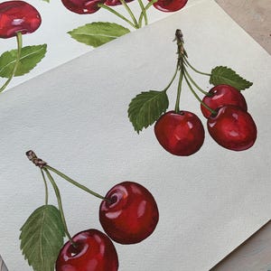 May include: Watercolor painting of red cherries with green leaves. The cherries are arranged in groups of three and two, with stems extending from the fruit.