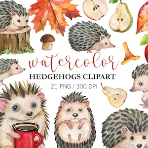 Ouriços aquarela e folhas de outono clipart PNG, animais aquarela, clipart de floresta, ouriços fofos, peras aquarela maçãs, cogumelos