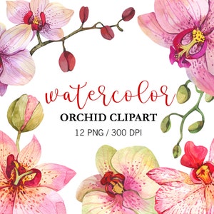 Clipart orchidée aquarelle, orchidée rose, clipart floral, aquarelle de fleurs, clipart fête des mères, PNG, faire-part de mariage floral