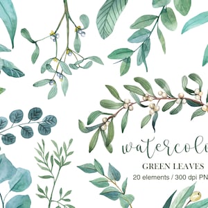Aquarel groen clipart, groen clipart, groen gebladerte, bruiloft clipart, kerst maretak, aquarel olijf, eucalyptus, png