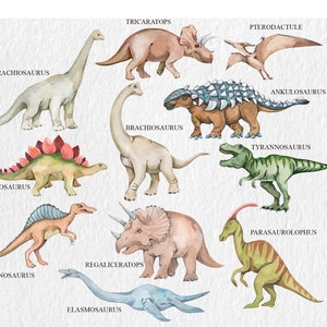 May include: A watercolour illustration of 11 different dinosaurs, including a Triceratops, Stegosaurus, Brachiosaurus, Tyrannosaurus Rex, and Pterodactyl. Each dinosaur is labelled with its name.