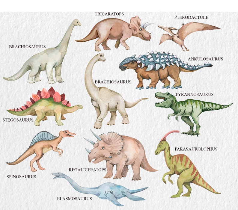 May include: A watercolour illustration of 11 different dinosaurs, including a Triceratops, Stegosaurus, Brachiosaurus, Tyrannosaurus Rex, and Pterodactyl. Each dinosaur is labelled with its name.