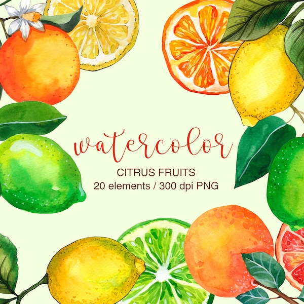 Watercolor Citrus Fruits Clipart, Citrus Clipart, Lemon PNG, Lime, Orange, Grapefruit, Citrus Fruit Leaves Clipart, Hand Painted ClipArt