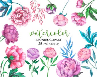 Watercolor Peony Clipart, Peonies Flower Clipart, Wedding Floral Clipart,Floral Clipart, Pink Peonies, PNG Floral Elements, Botanical