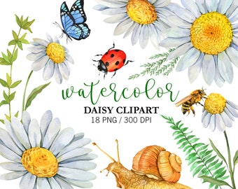 Watercolor Daisy clipart, Flower Clipart, Wedding clipart, Mothers Day, Baby Shower Decor, Wild Flower Clipart, White Daisy PNG, Summer Art