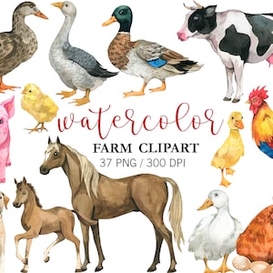 Aquarela Animais de fazenda clipart, Animal Clipart, Decoração de berçário, Arte de parede de berçário, Vaca, Cavalo, Porco, Pássaro fazenda clipart, aniversário de fazenda