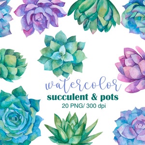 Clipart de suculentas aquarela, suculentas rosas, vasos de suculentas, clipart de convite de casamento floral, suculentas, cactos, arranjo de suculentas
