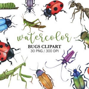 Aquarel insecten clipart, insecten illustraties, png lieveheersbeestje clipart, insecten graphics, decor van de kwekerij, digitale aquarel schattige beestjes, Daisy Art