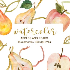 Clipart de maçã aquarela, clipart de outono, clipart de frutas de outono, peras, maçãs, outono PNG, clipart de frutas, colheita de outono, clipart de ação de graças