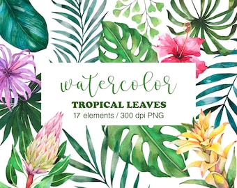 Tropical Leaves PNG Clipart, Watercolor Hand Painted Jungle Plants, Leaves of palm, monstera, exotic flowers
