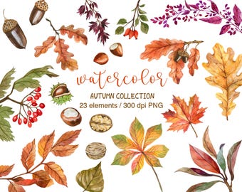 Imágenes prediseñadas de otoño en acuarela, imágenes prediseñadas de hojas de otoño, PNG, imágenes prediseñadas de acuarela, imágenes prediseñadas de hojas de otoño, imágenes prediseñadas de otoño, colección de hojas en acuarela